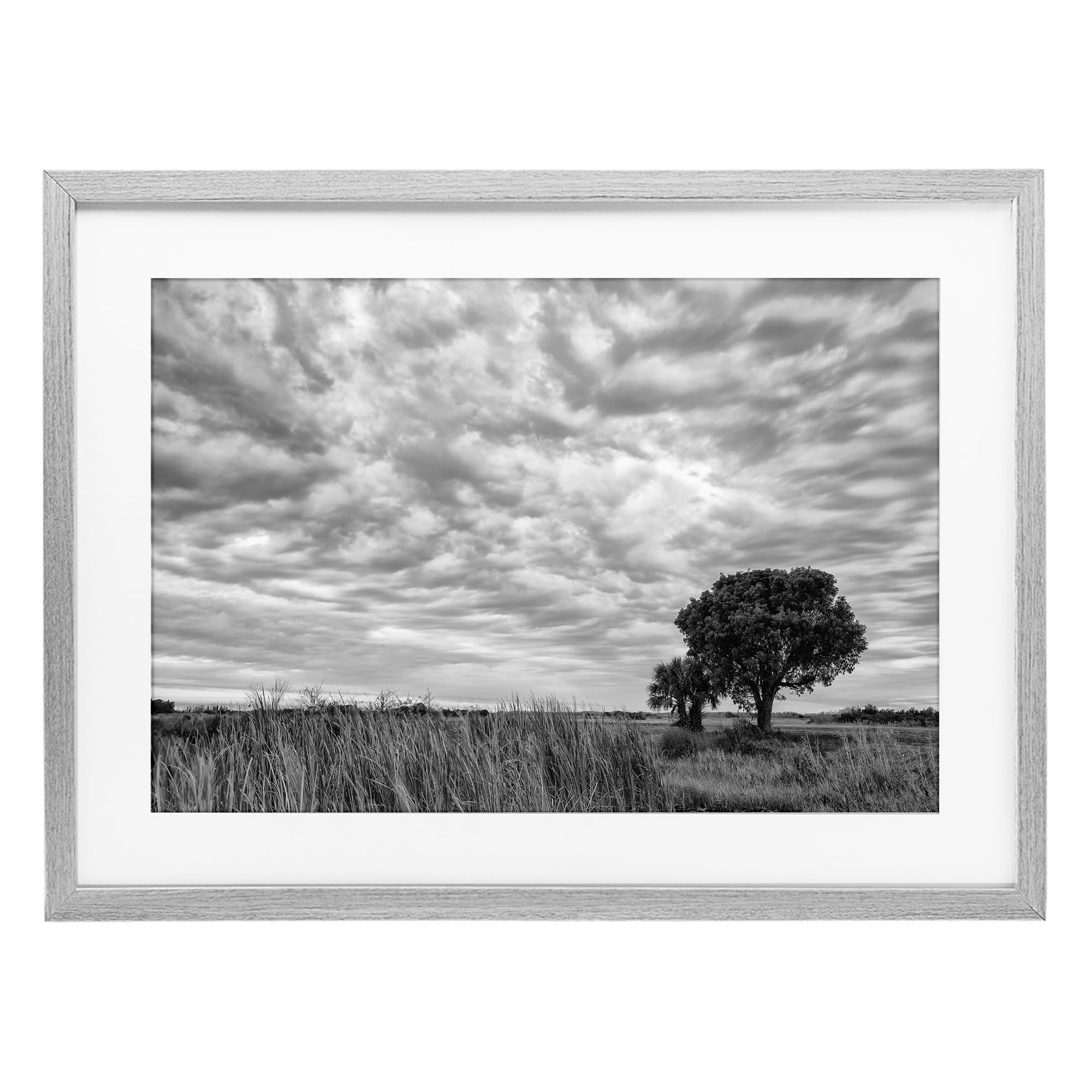 Stupell Industries Solitary Tree Beneath Clouds, Greyscale Landscape Serenity for Living Room, 17 x 23 Inch Framed Matted Print Under Glass, by Jon Evan, Made in USA Gift