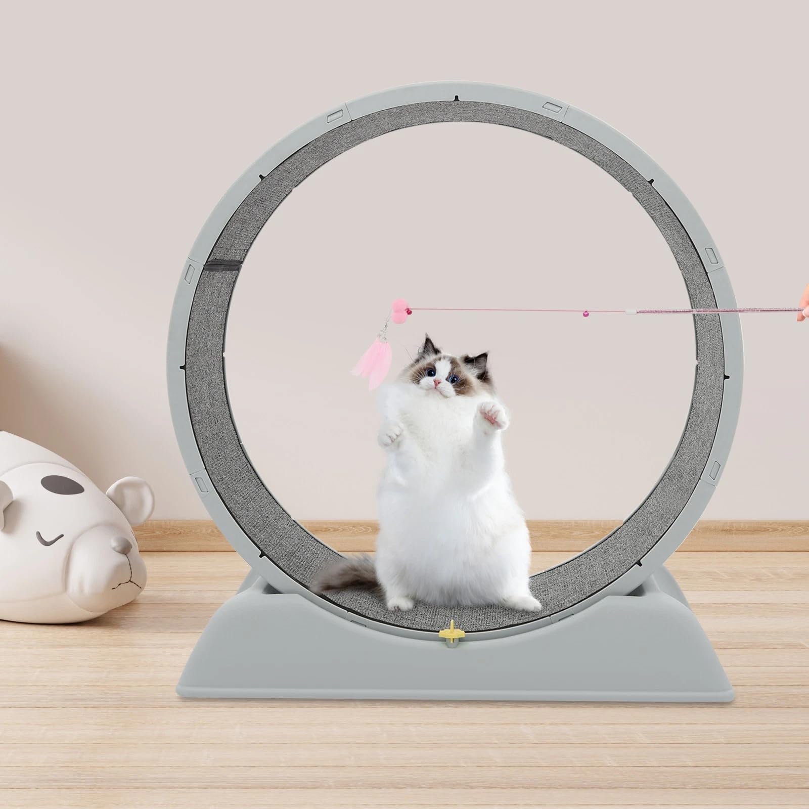 Bicicletta per gatti 80 cm – Grande e silenziosa per gatti d'appartamento, robusta bicicletta fitness con fibbia di sicurezza, incluso tappeto e carillon – Adatto per gatti fino a 10 kg (grigio)