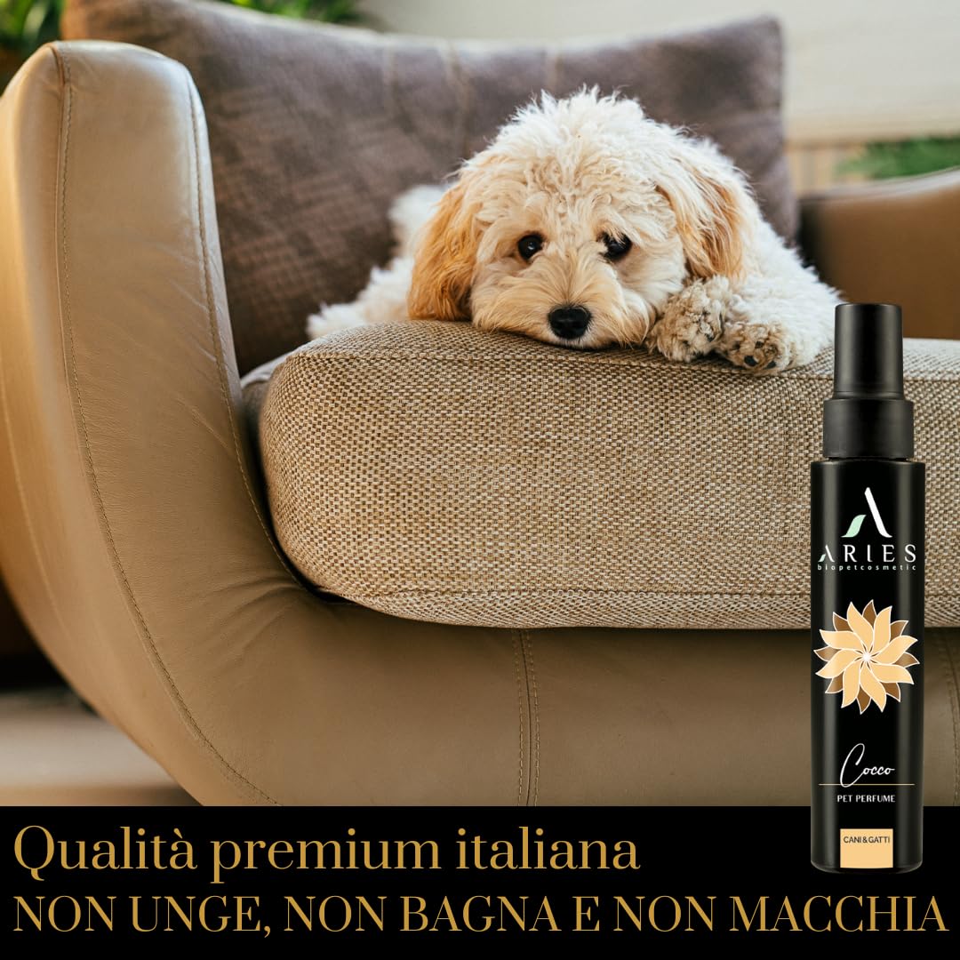 Parfum pour chiens longue durée à la noix de coco, spray déodorant pour chiens et chats, doux et intense
