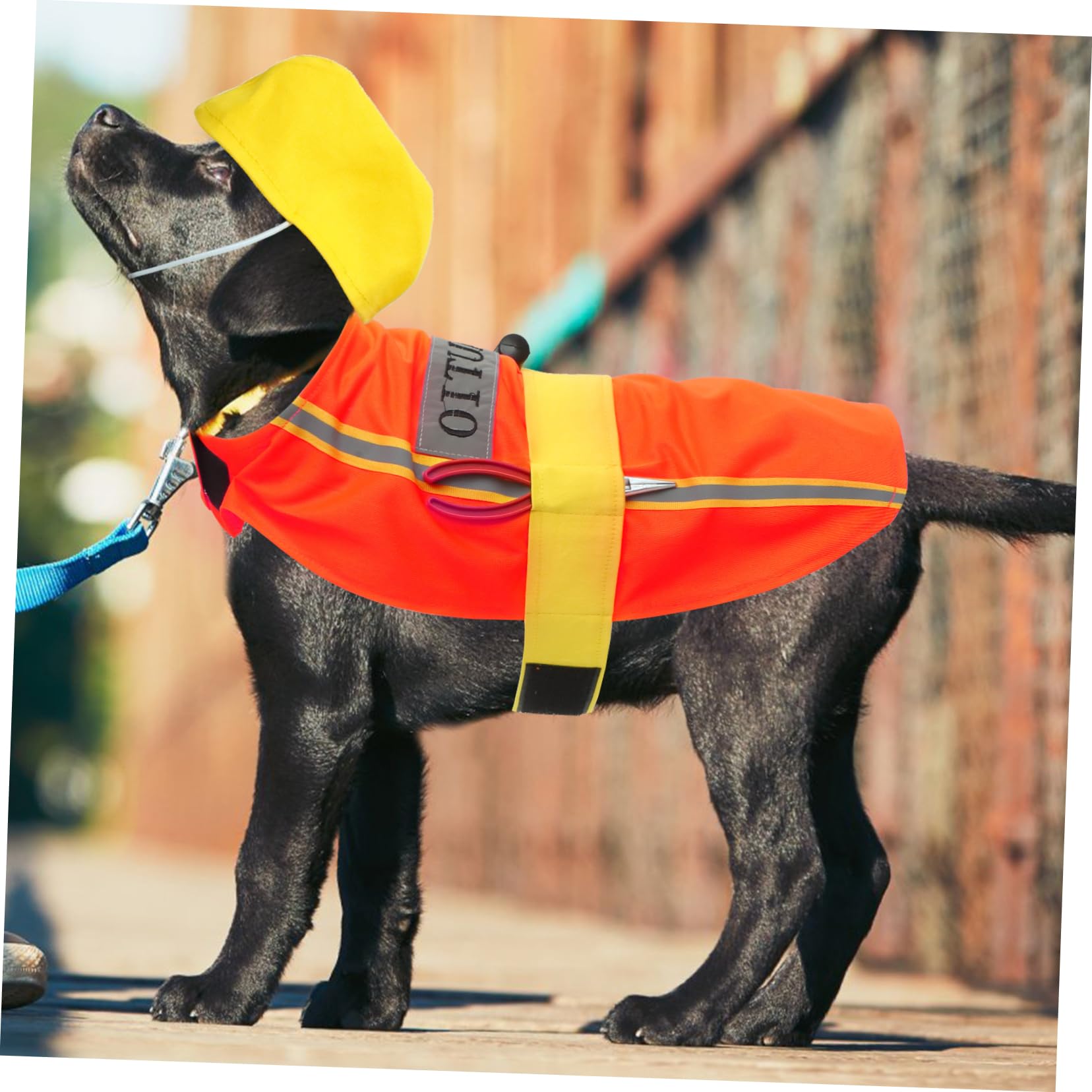 BESPORTBLE 5pezzi Costume Decorativo Per Cani Poliestere Abbigliamento Per Animali Domestici Adorabile Per Feste Compleanni e Occasioni Speciali Materiale Resistente e Confortevole Facile Da