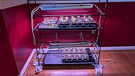 Review Image by MamaKath MamaKath