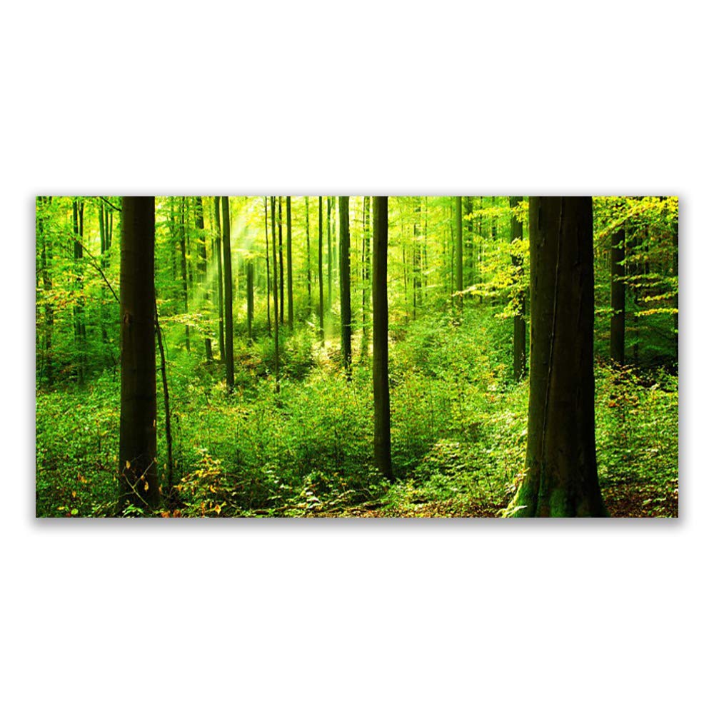 Impression sur verre trempé Tulup 120x60cm pour décoration murale forêt