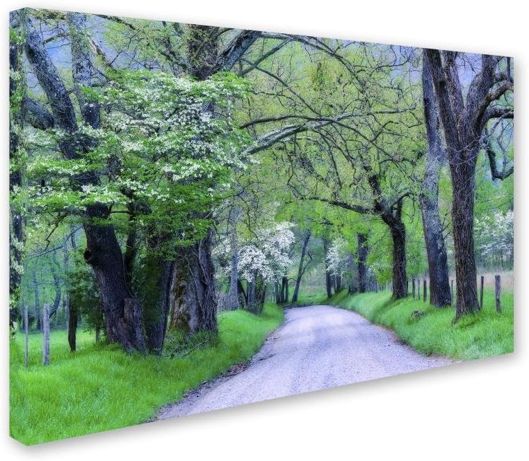 Trademark Fine Art ALI3916-C2232GG Cades Cove Lane by Michael Blanchette Photography, 22x32" ,,