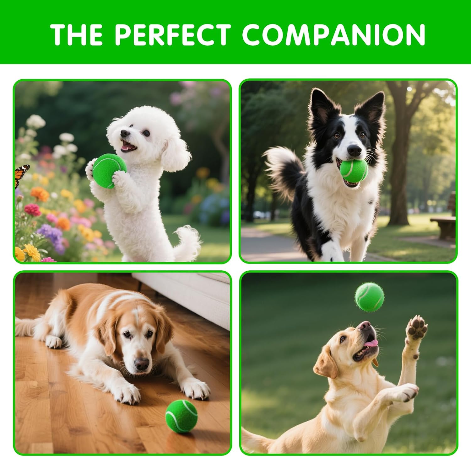 PHOEPET 6-Pack Tennis Balls for Beginner Training Practice- Bulk Dog Balls | for Fetch Chew Toys(Green)