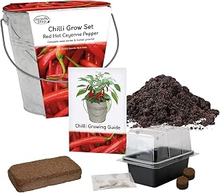 pronto seed Grow Your Own Red Hot Cayenne Chilli Pepper From Seed Kit With Galvanised Bucket Planter - Gardening Gifts Women And Men - Great Beginner Friendly