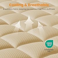 Vista 2 de MATBEBY Cubrecolchón Tamaño King – Cubrecolchón transpirable y refrescante, protector de colchón acolchado y ajustable, funda de colchón tipo pillow