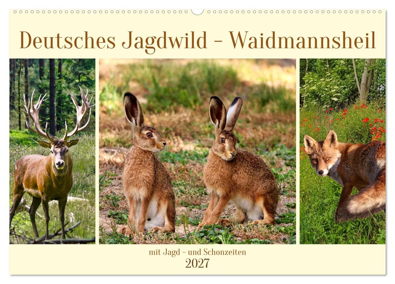 CALVENDO - Deutsches Jagdwild - Waidmannsheil (Wandkalender 2027 DIN A2 quer), Monatskalender: Wunderschöne Tiere in Deutschlands Feld und Flur