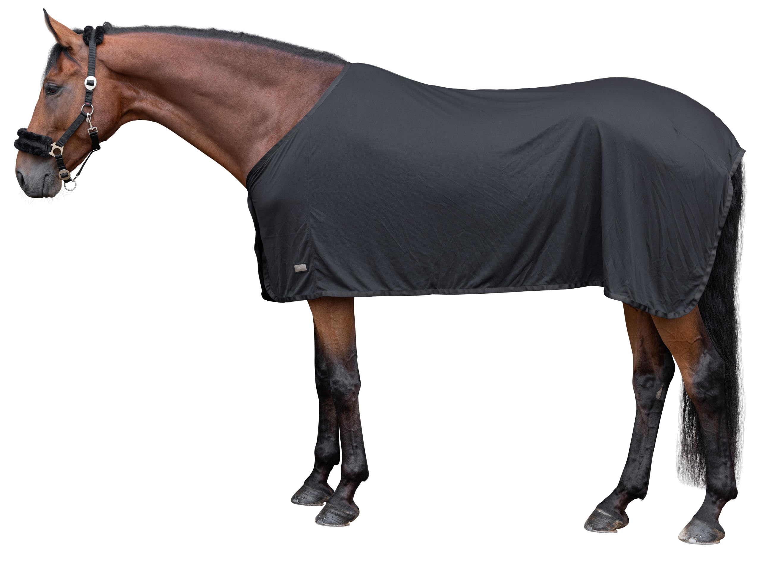 Covalliero Kühldecke CovallieroCool Sommerdecke Klimadecke schwarz Nylon Polyester maschinenwaschbar 30°C Rückenlänge 125cm