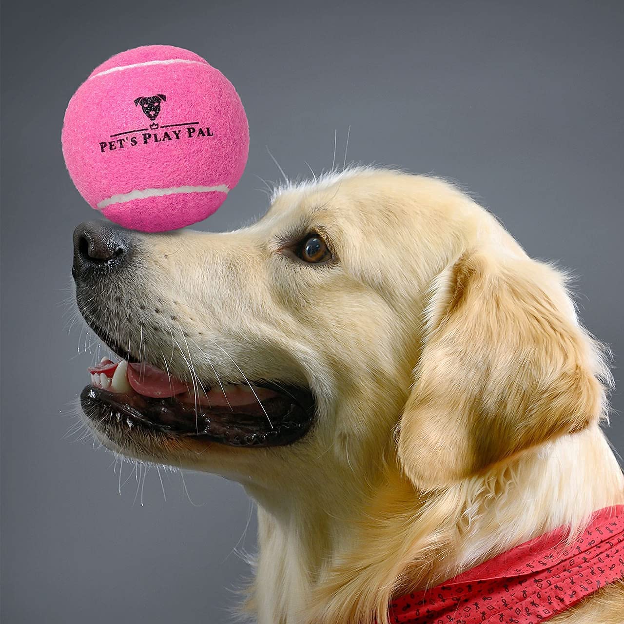 Ptlsy Hunde-Tennisbälle 16 Stück, 5,1 Cm – Mini-Bälle Für Kleine & Mittelgroße Hunde