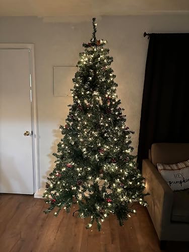 Review Image by Genesis Ellis