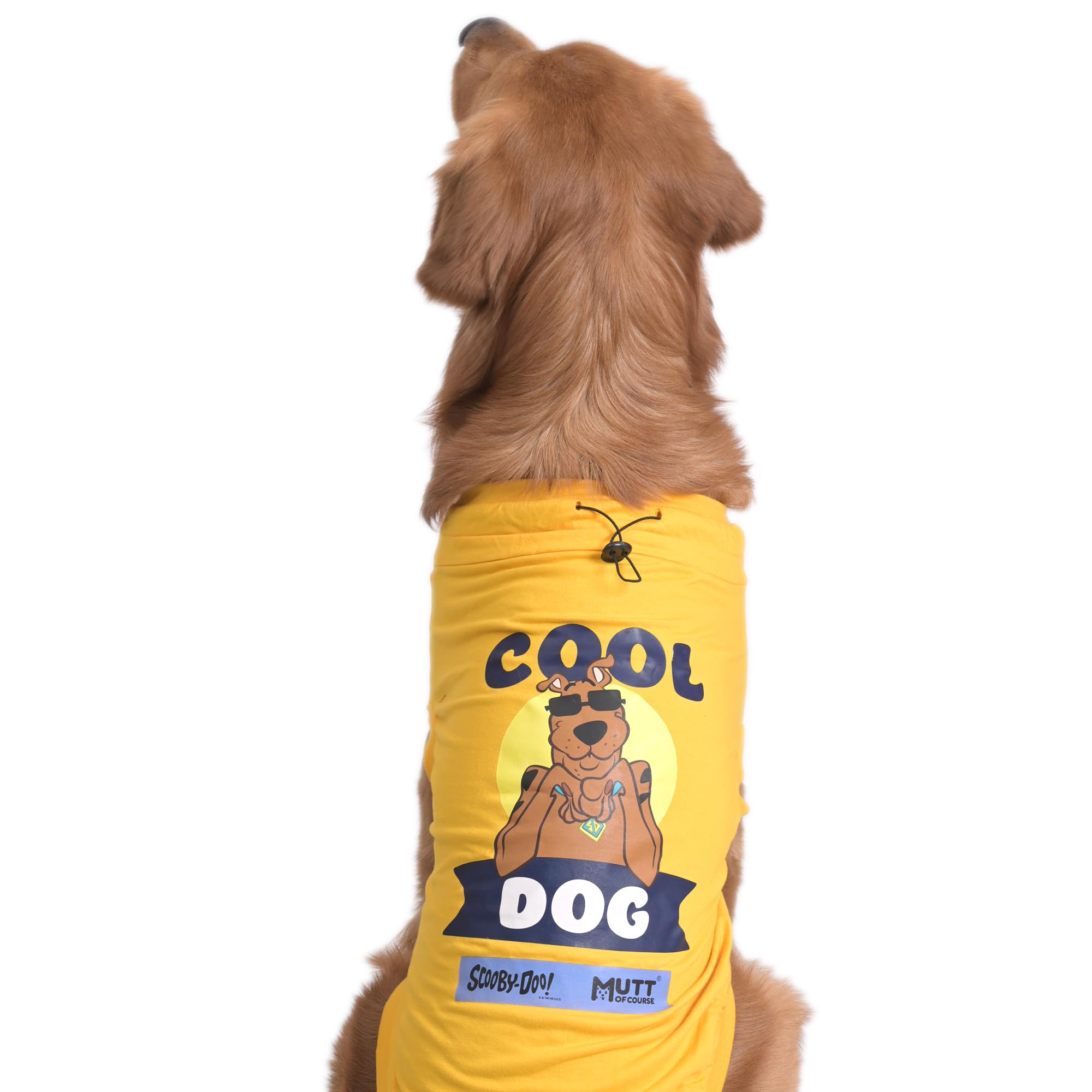 Mutt of CourseScooby Doo Cool Dog T-Shirt XL (Pugs, French Bulldog etc.) by Mutt of Course