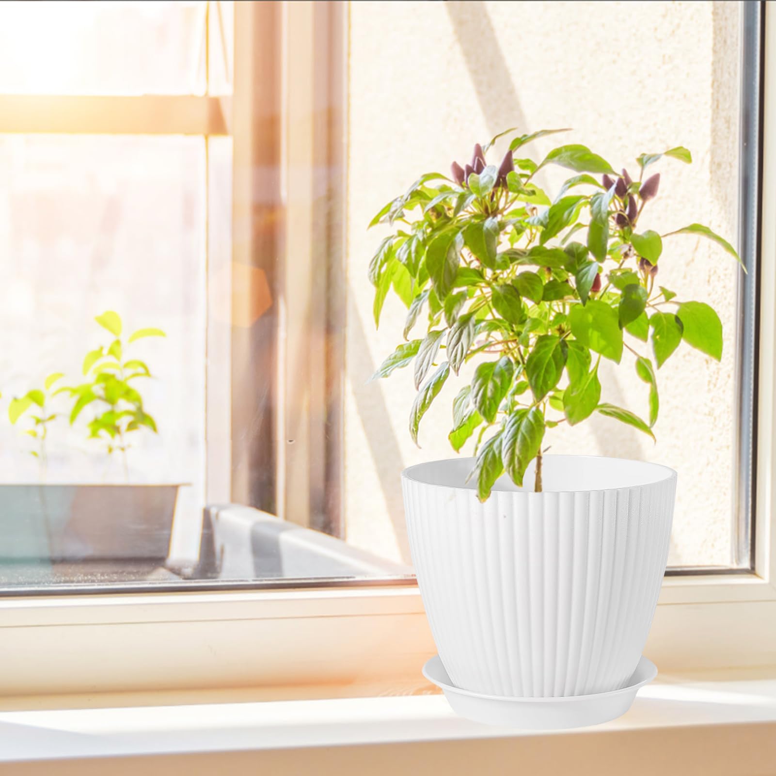 PROFIKLA 18/15/14/13/11.5cm Plastic Plant Pots, Pack of 5 Flower Pots, Plant Pots with Drainage Holes and Saucers - Image 4