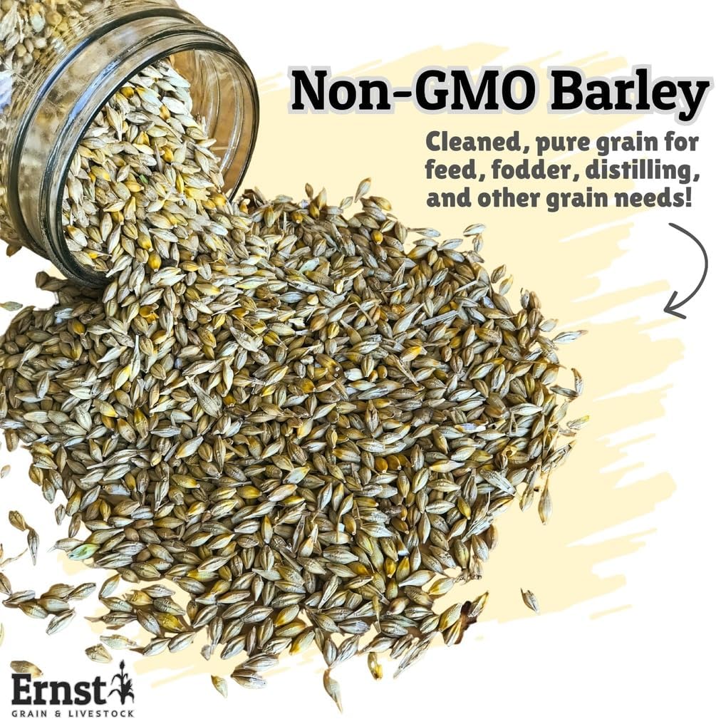 Ernst Grain & Livestock Non‑GMO Whole Barley Seeds & Feeds – Premium Feed‑Grade Grain for Livestock, Poultry & Small Animals – 10 lb (160 oz) Portable Bag – Pure, Unprocessed, Nutrient‑Rich