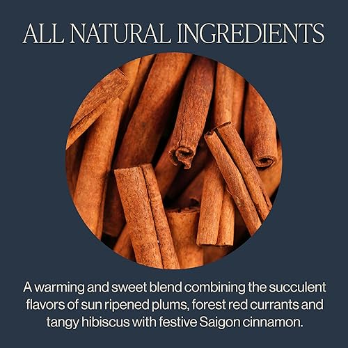 Vista 90 de Rishi Tea Mystic Mint - Té de hierbas orgánico, sin cafeína, hojas sueltas, mezcla de menta calmante – 16 onzas, más de 55 porciones