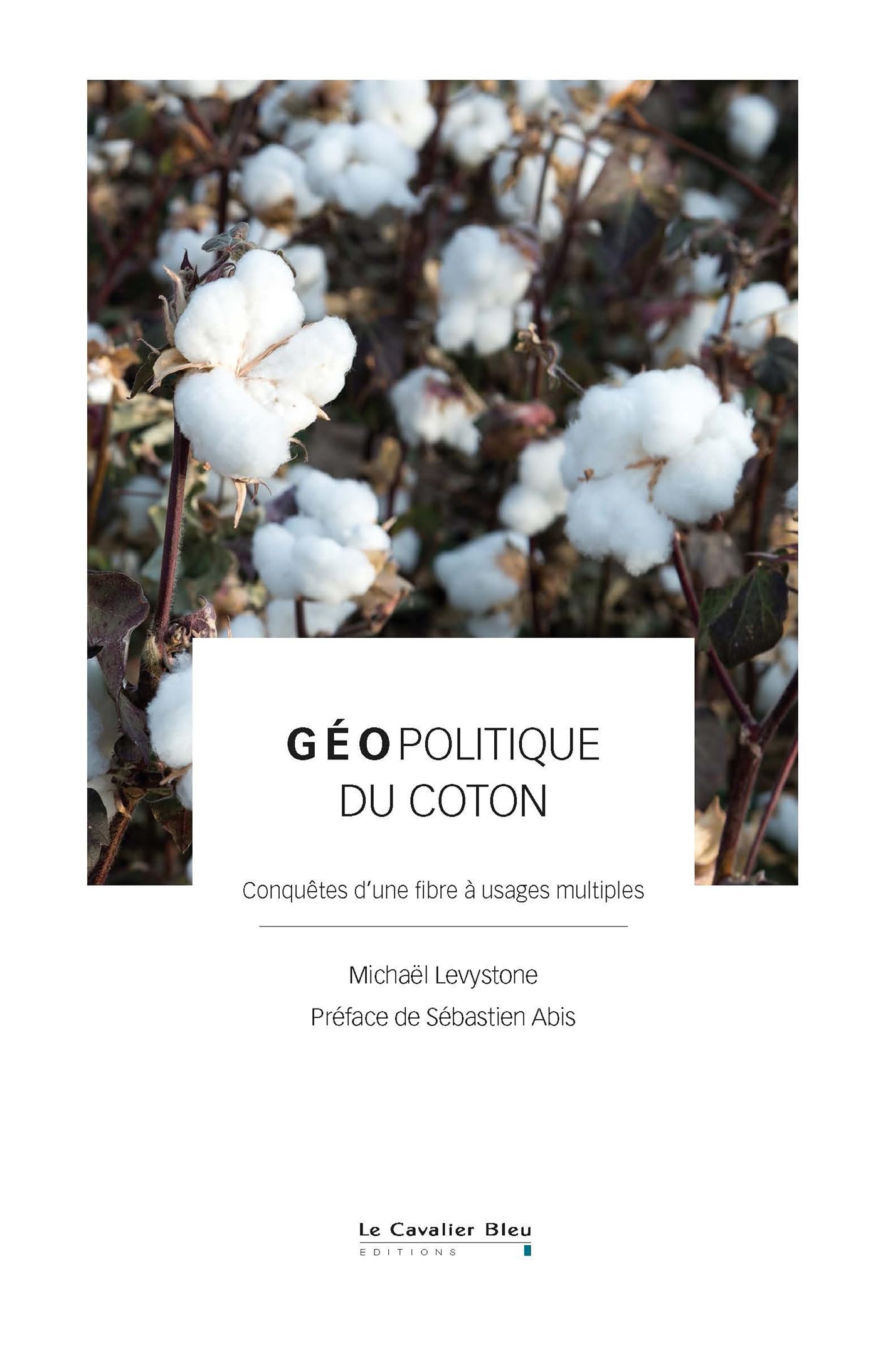 Géopolitique du coton: Conquêtes d’une fibre à usages multiples