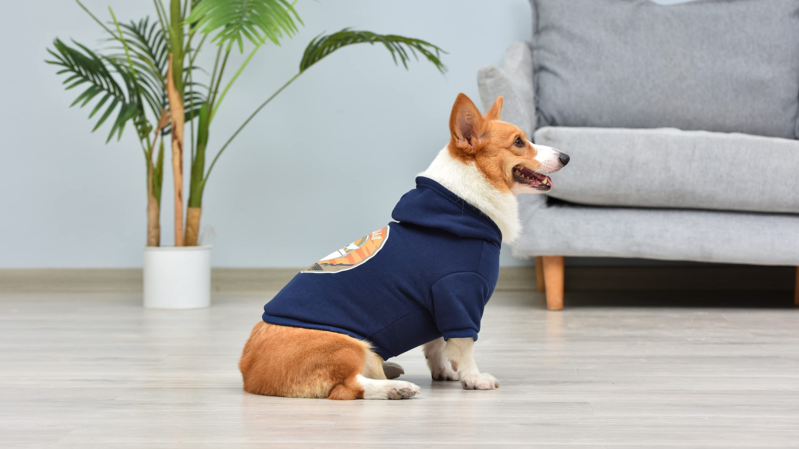 STAR WARS Sudadera con capucha Mandalorian para perros, diseño El niño con agujero de fijación para correa, extra grande | Ropa de Star Wars para perros | Sudadera Grogu con capucha acogedora para