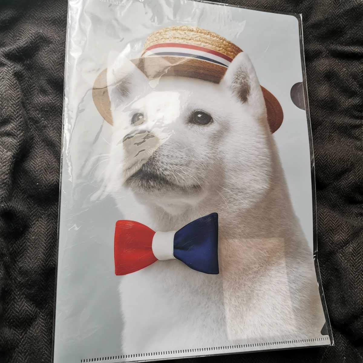 Amazon.co.jp: 白戸家 ソフトバンク クリアファイル お父さん お父さん