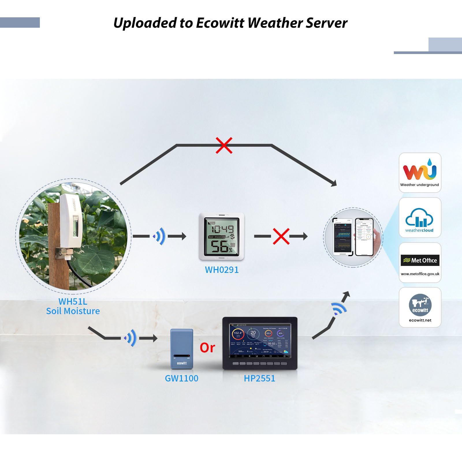 Ecowitt WH51 Bodemvochtigheidsmeter, irrigatiemonitor, hygrometer, sensor voor tuinieren, landbouw, huis, binnen- en buitenplanten, 868 MHz