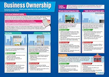 Daydream Education Business Ownership Poster - EXTRA LARGE 33 x 23.5 - Laminated - Business Studies High School Classroom Decoration - Wall Charts
