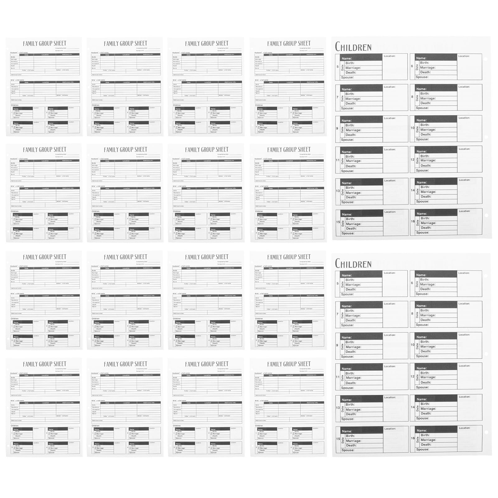 100 Pièces Feuilles de Généalogie à Trois Trous Recto Verso pour Étude