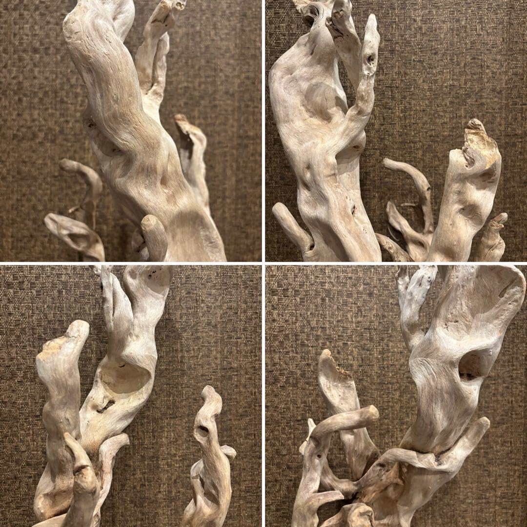 流木 大型75.5cm 超インテリア 流木 大型75.5cm 超インテリア 流木