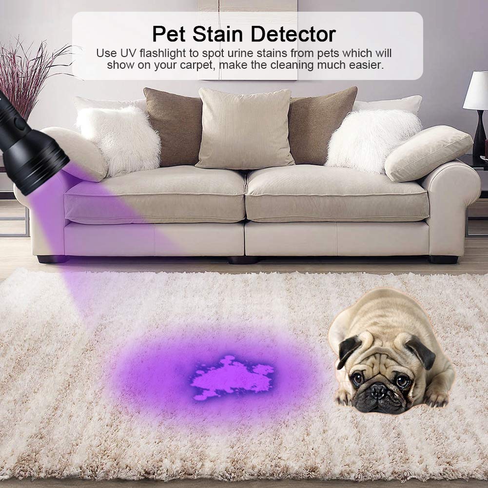 Lampe de poche à lumière noire UV Détecteur d'urine pour animaux de compagnie Détecteur d'urine de chat portable pour chien pour trouver des taches sèches pour animaux de compagnie sur les tapis de vê