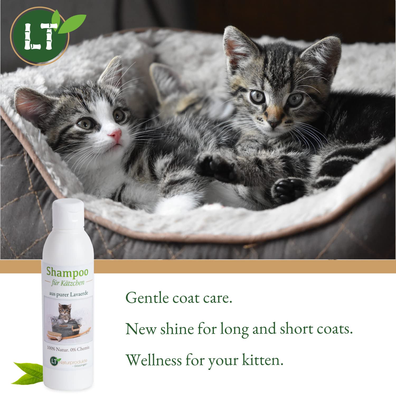 Shampooing pour chaton | bio | soin doux pour les petits chatons sans produits chimiques & savon | anti-démangeaisons | hypoallergénique | avec de la lave blanche originale | 250 ml