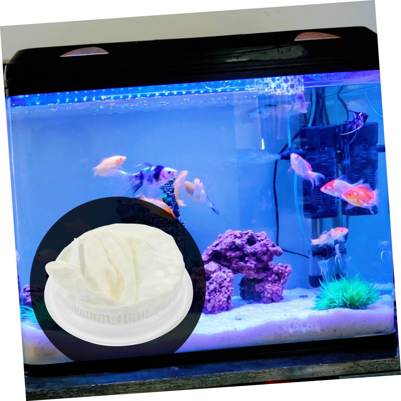Toddmomy 11 Stück Wabenfilterbeutel für Aquarien aus Pp Beige