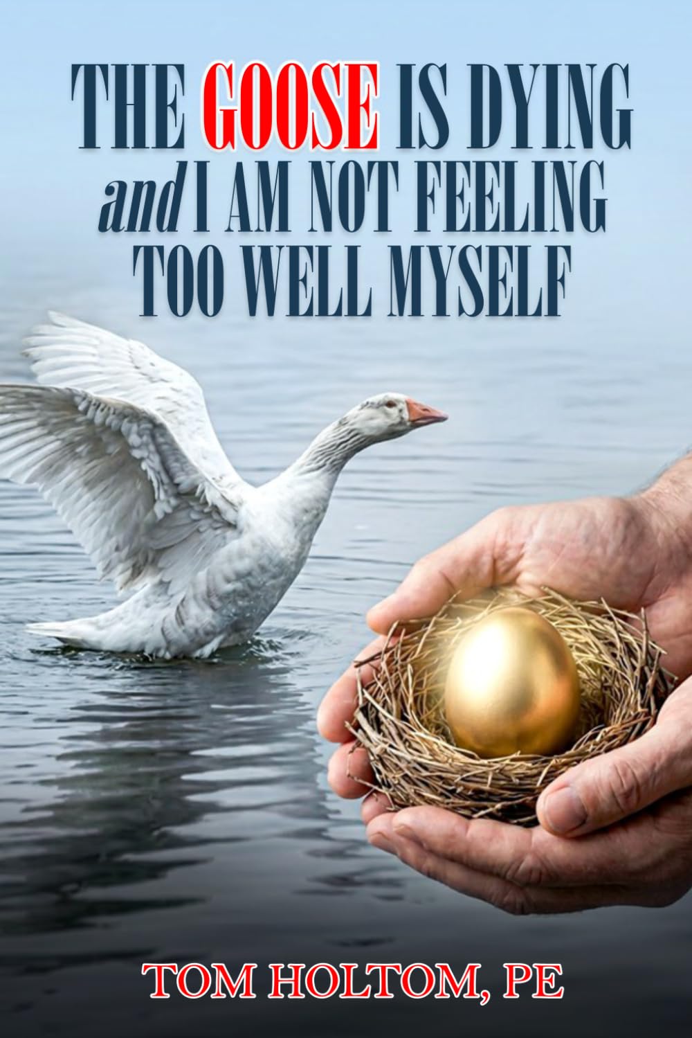 The Goose Is Dying and I Am Not Feeling Too Well Myself