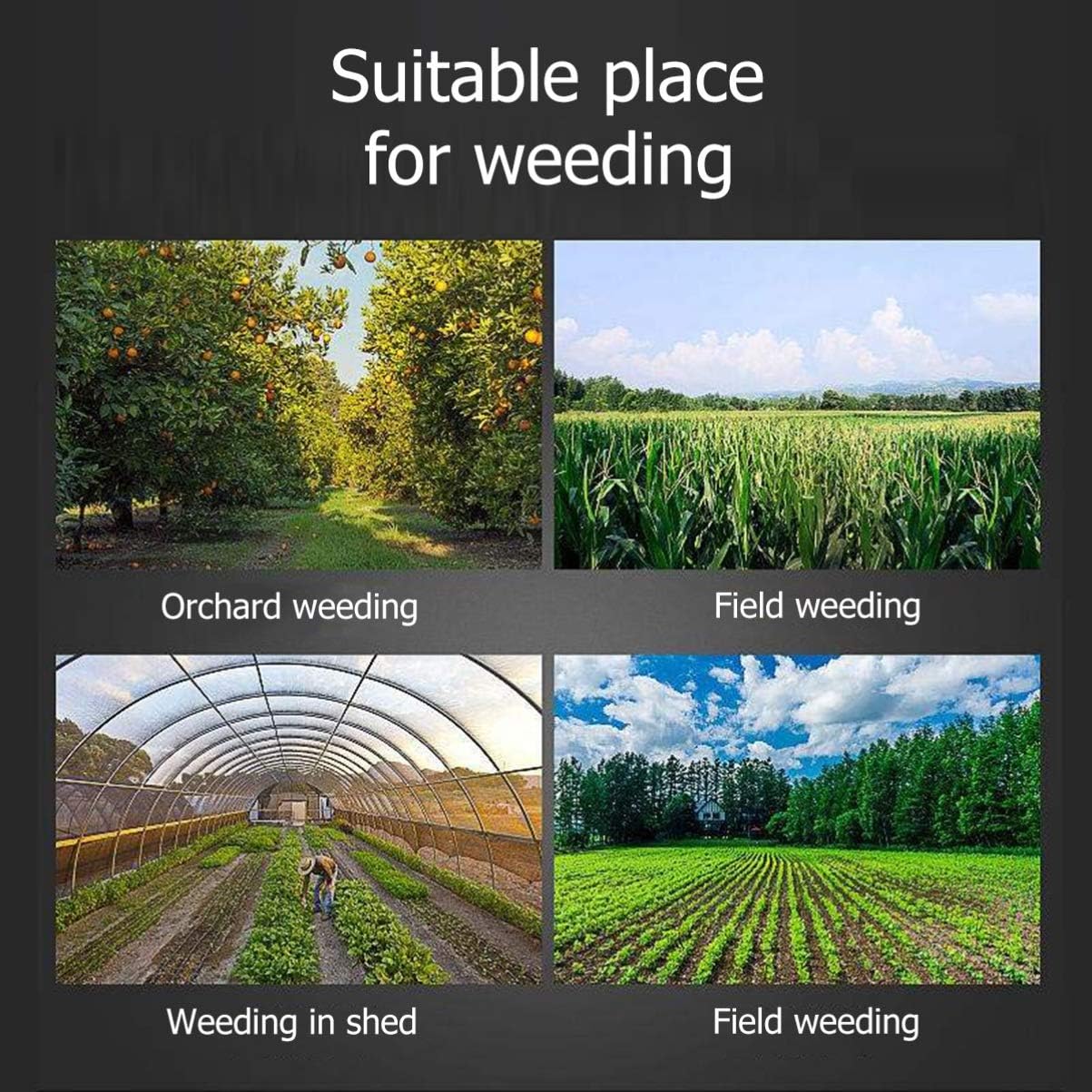 2Pcs Moss Removal Deck Crevice Tool, Moss Remover Brush Grout Brush Cleaner Wire Brush with Scraper for Cleaning Paving Joints, Sidewalk, Patio Stones, Bricks and Driveway Cracks