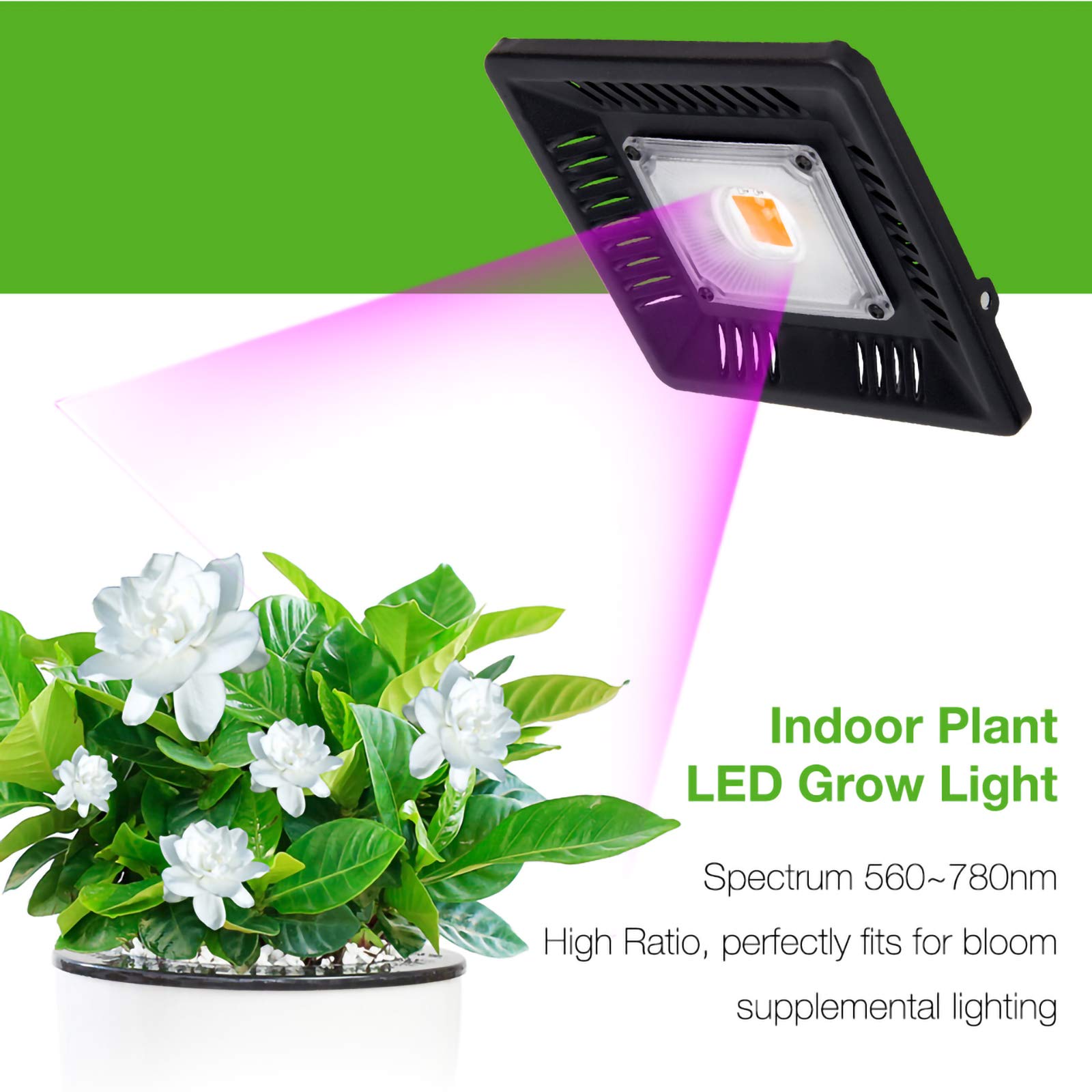 100W oświetlenie LED do uprawy pełnozakresowe oświetlenie do wzrostu roślin IP67 wodoodporna lampa COB do uprawy dla roślin kwiaty sadzonki rosnąca lampa fito