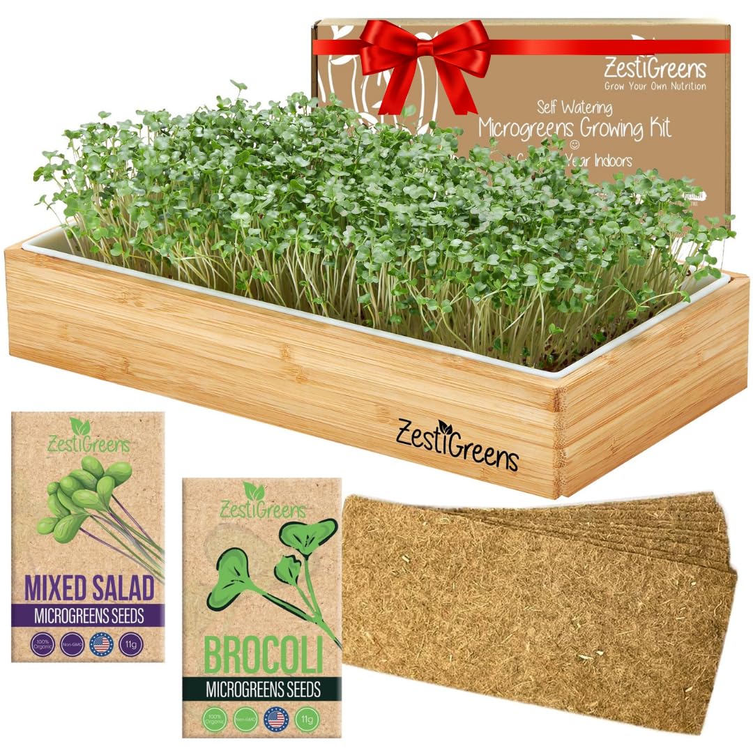 Microgreens Growing Kit Self Watering - Healthy Gift with Microgreens Tray, Seeds, Mats, and Bamboo Surround. No Soil Needed. Easy Setup. Sprouting Kit with One-Time Watering. (Salad & Broccoli)