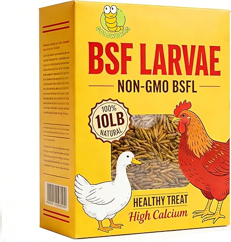 Larvas secas de mosca soldada negra de 10 libras, BSFL es alimento de pollo con alto contenido de proteínas con 85 veces más calcio que los gusanos