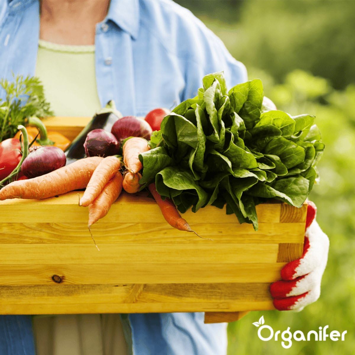 Engrais Pour Fruits, Tomates, Herbes Aromatiques Et Légumes - Tout-En-Un - 10 Kg Pour 200 M2 - Granulés Pour Une Croissance, Des Rendements Élevés Et Un Goût Délicieux - Organifer