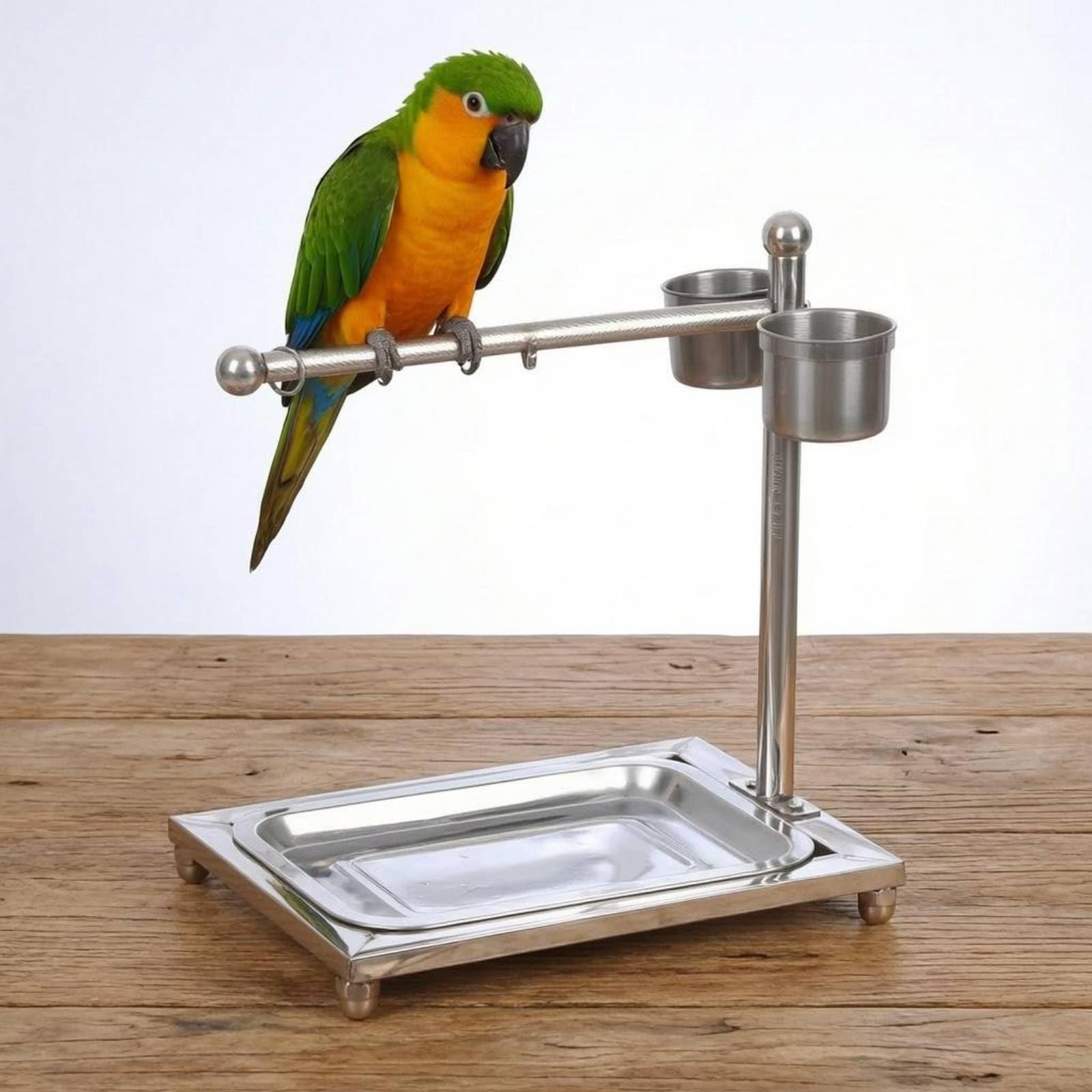 Baoblaze Bird Training Stand Soporte para Entrenamiento de Aves Percha para Loro Base Desmontable Accesorios de Acero Inoxidable Adecuado para el Hogar y Actividades Diarias, Grande