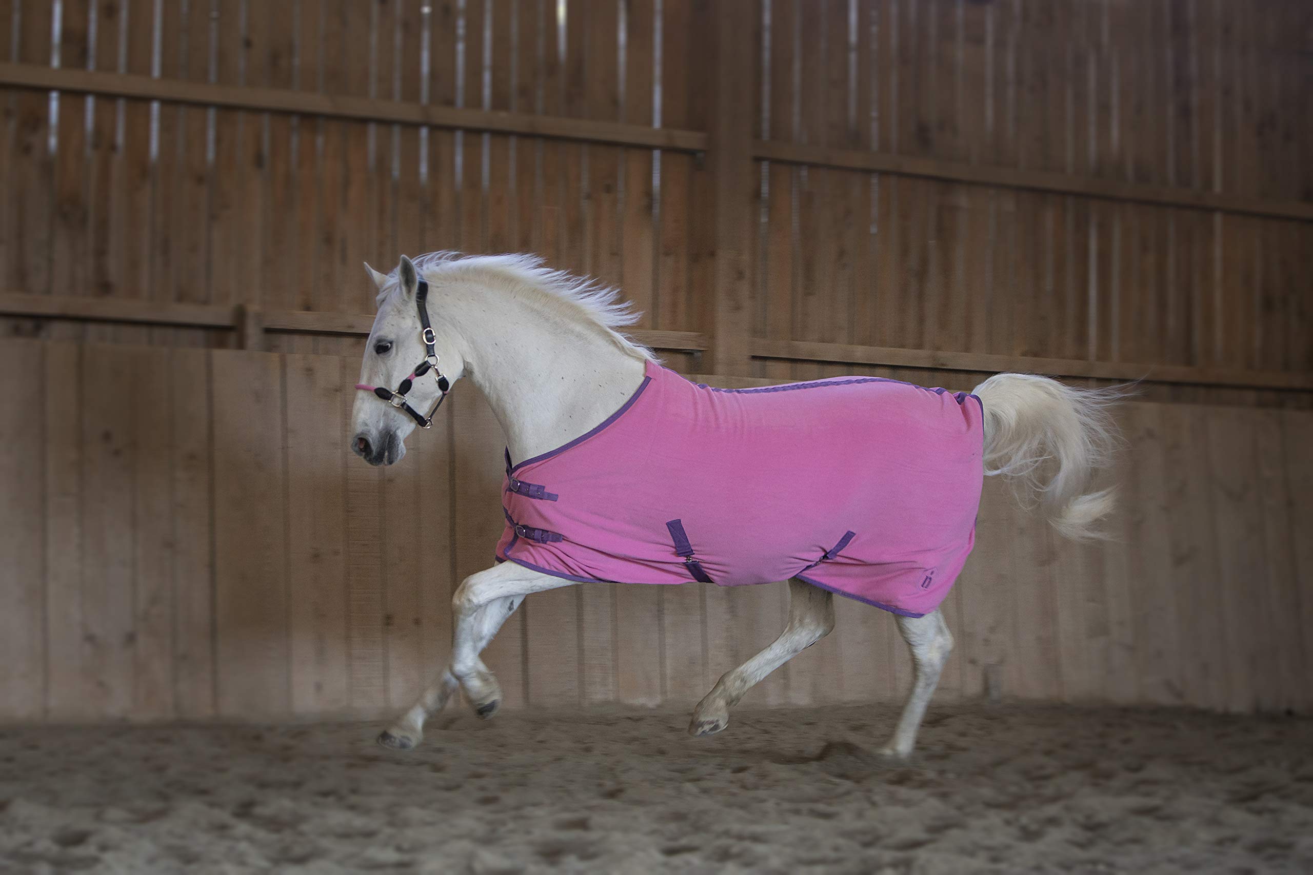 Abschwitzdecke_indira_pro_350g (155 cm, Violett 01 - Pink 01)