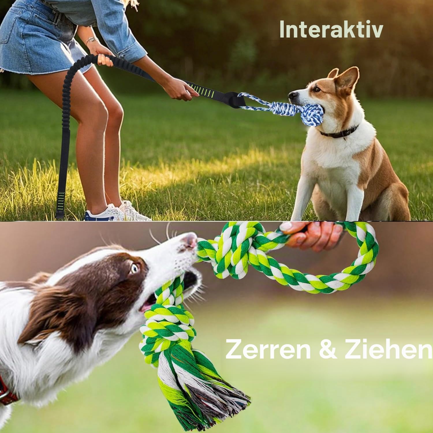 Bungee-Ziehspielzeug für Hunde, Outdoor Hundespielzeug zum Aufhängen mit 2 Kauseilen, Interaktives Tau Spielzeug Hunde Seil für Training Ziehen
