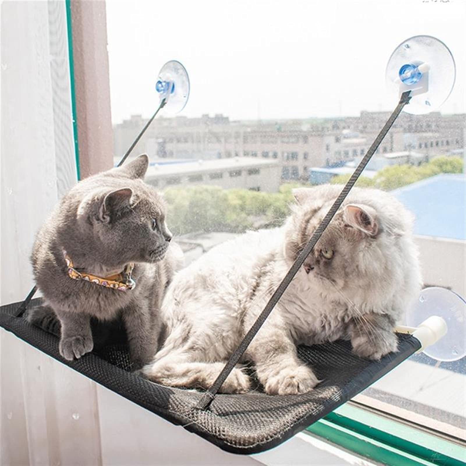 Hamaca de Gato Hamaca de la Ventana del Gato, la Perca de la Ventana del Gato, la Cama de la Ventana del Gato se Mantiene hasta 55 Libras Hamaca para Mascotas