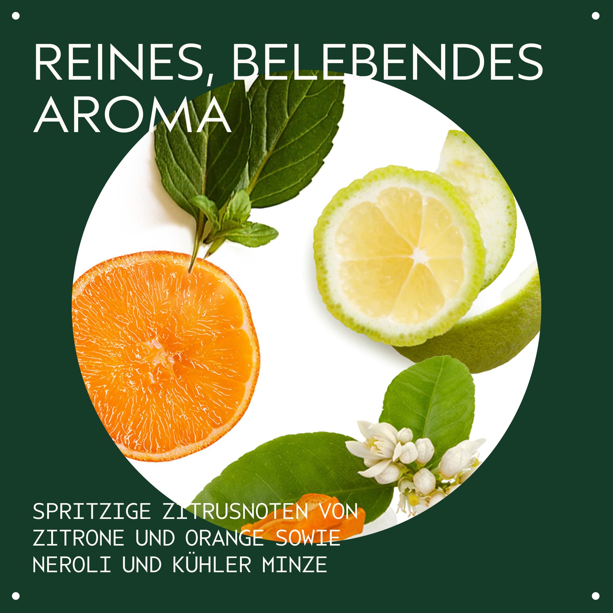 Aveda Scalp Solutions Replenishing Conditioner, feuchtigkeitsspendender Conditioner für Haar und Kopfhaut, für alle Haartypen, mit Babassu- und Moringa-Öl, zu 98% natürlichen Ursprungs*