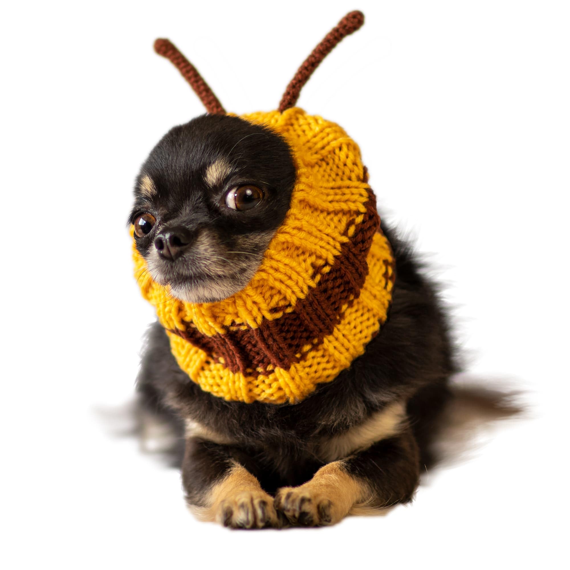 Zoo Snoods Bumble Bee Costume - Knit Dog Snood Ear Wrap for Pets, Warm Neck Cover for Halloween and Winter (Small)