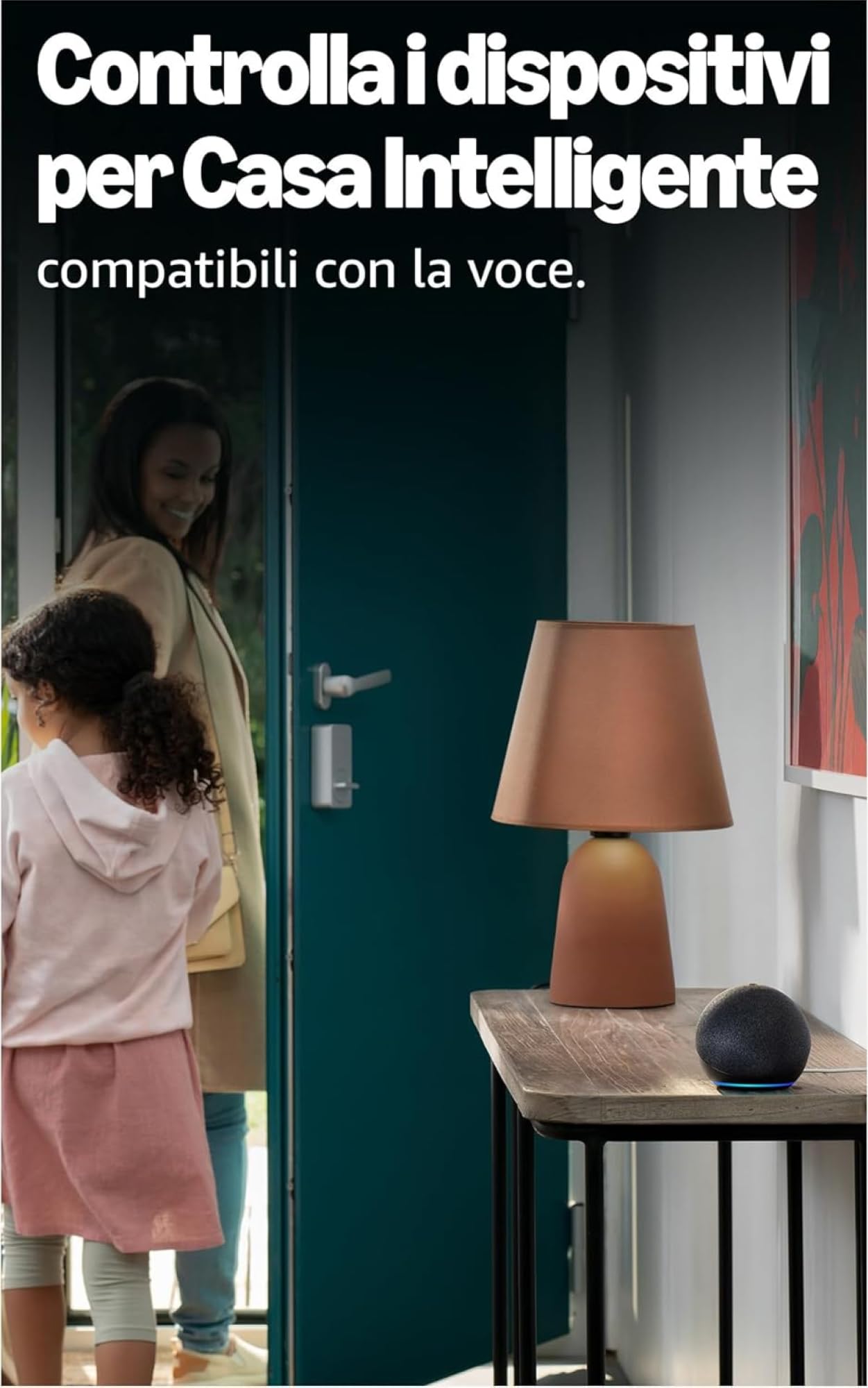 Echo Dot (5ª generazione) | Antracite + WiZ Presa intelligente, compatibile con Alexa - Kit di base per Casa Intelligente