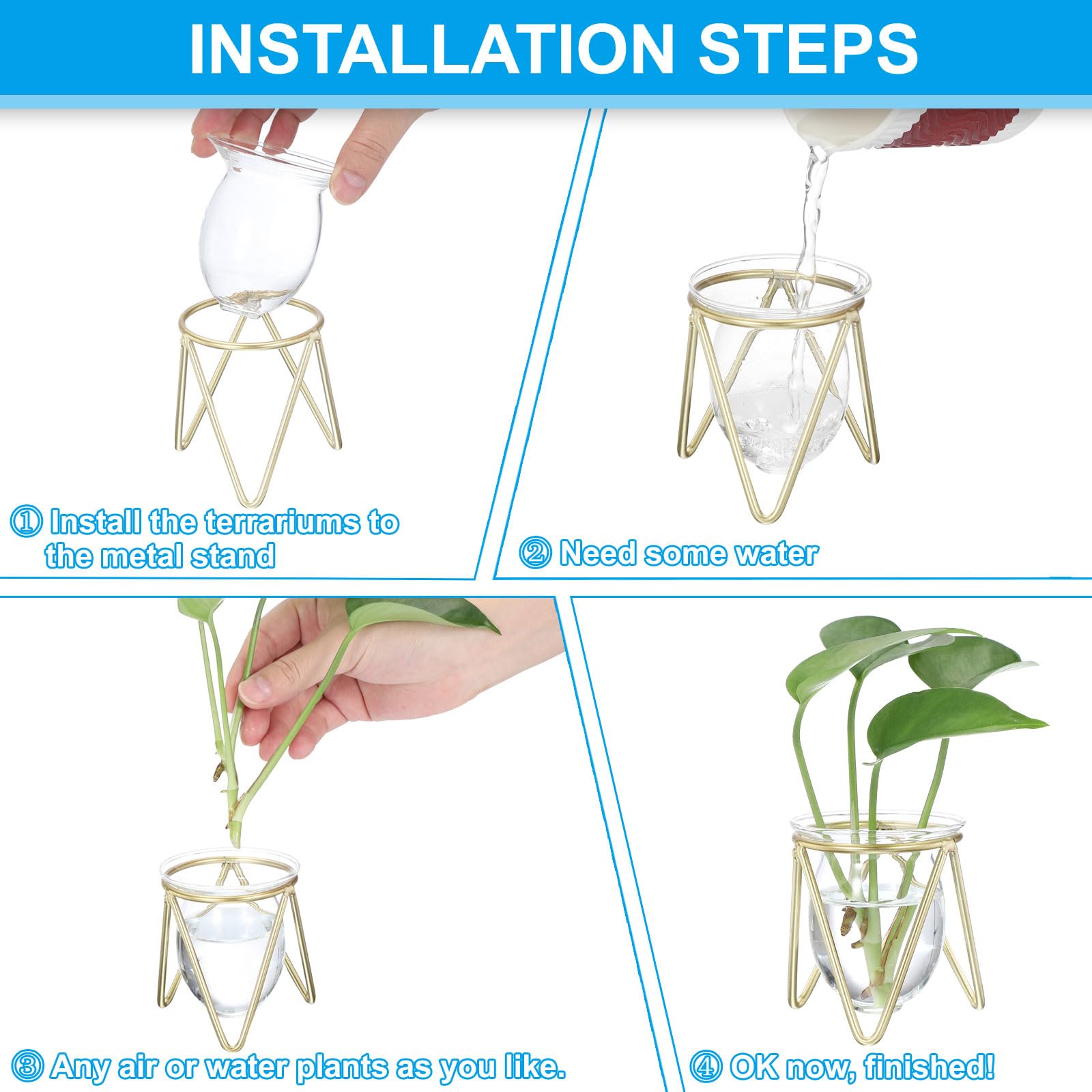 PATIKIL Glass Plant Terrarium with Metal Stand - Image 4