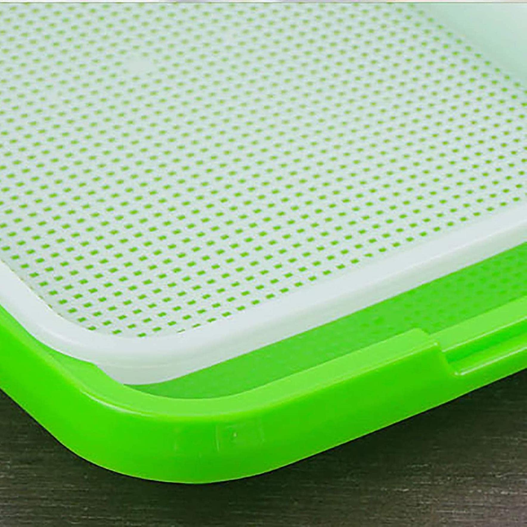 Bandeja De Germinación De Semillas De 4 Piezas, Bandeja De Germinación De Brotes De Soja, Kit De Germinación Cubierto, para La Germinación De Semillas Súper Pequeños Agujeros