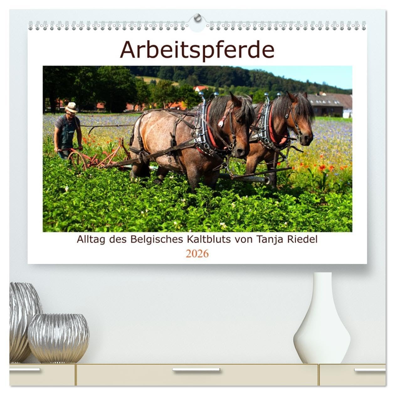 Arbeitspferde - Alltag des belgischen Kaltbluts (hochwertiger Premium Wandkalender 2026 DIN A2 quer), Kunstdruck in Hochglanz: Dieser Kalender zeigt ... belgischen Kaltblütern (CALVENDO Mobilitaet)