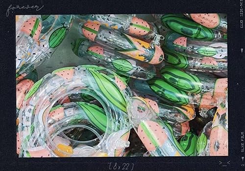 Miniatura 6 de Anillo de baño de 3.74 pulgadas con diseño de lagarto y dragón barbudo, leopardo, Gecko, anillo de baño, anillo de natación para reptil, chaleco