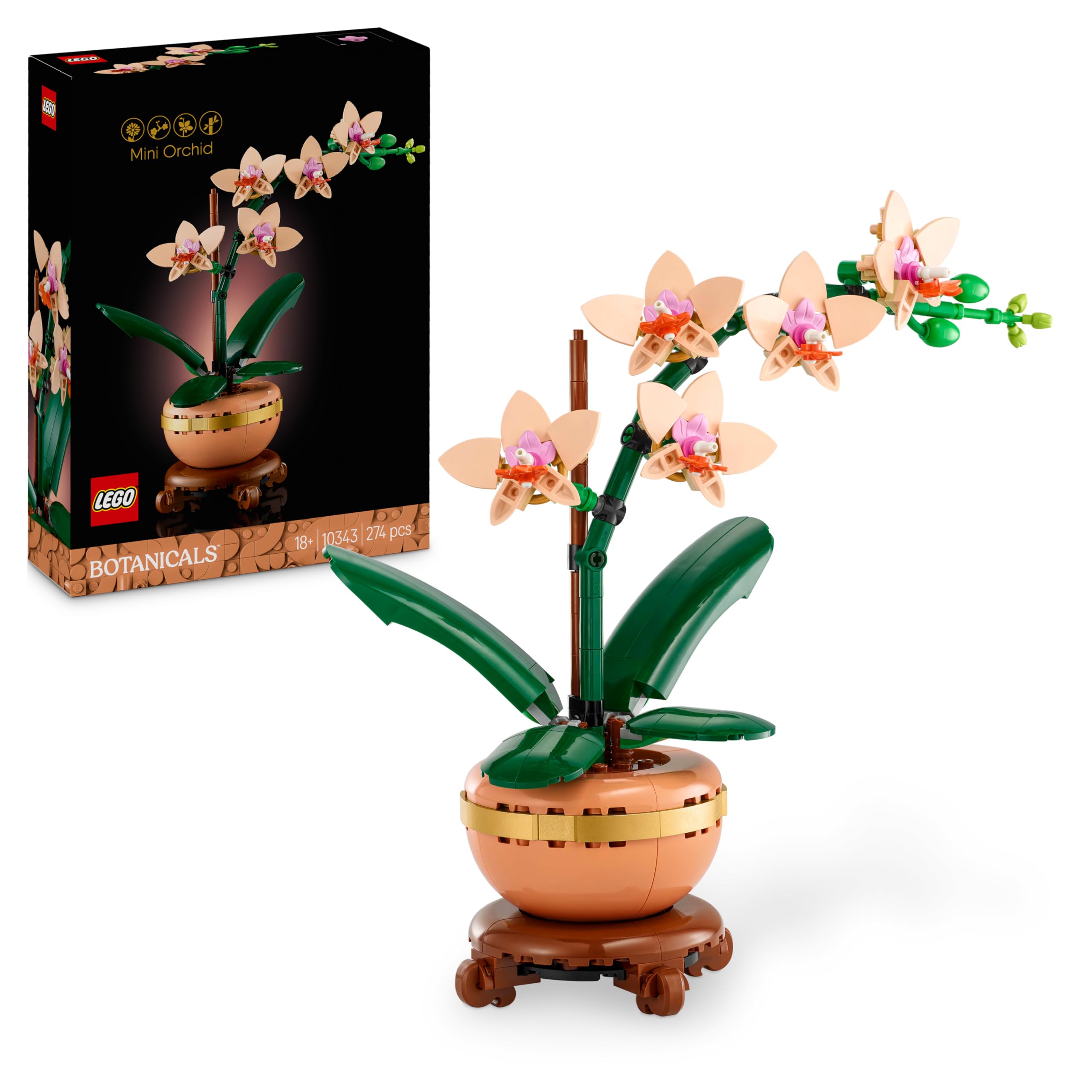 LEGO Botanicals Mini-Orchidee - Set mit Kunstblumen für Erwachsene - Zimmerpflanze mit Blumentopf im Terrakotta-Stil - DIY Geschenkidee zum Muttertag - 10343