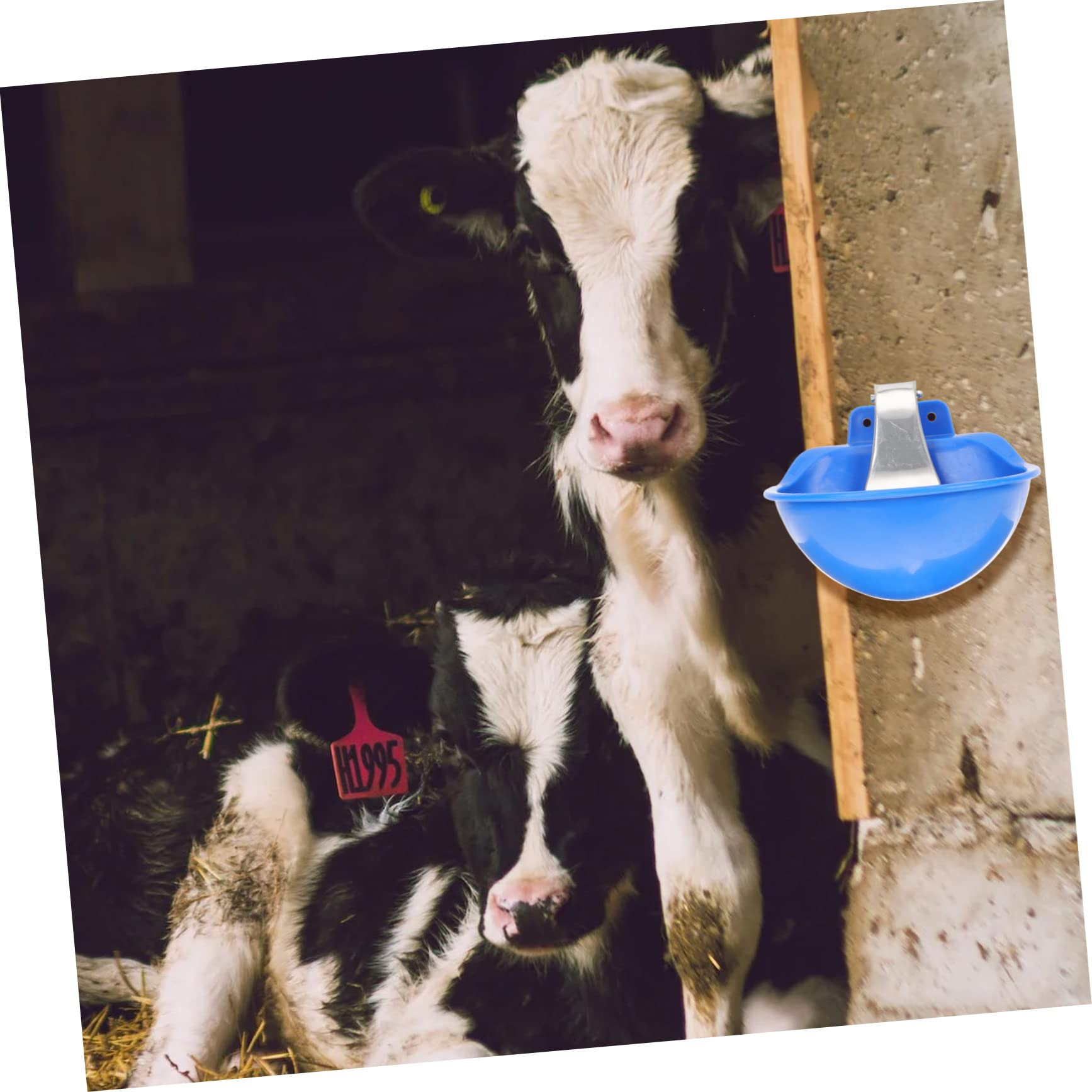 Toddmomy Tazón De Agua Automático Para Ganado Bebedero De Inoxidable Fácil De Limpiar Sin Fugas Para Vacas Caballos y Ovejas