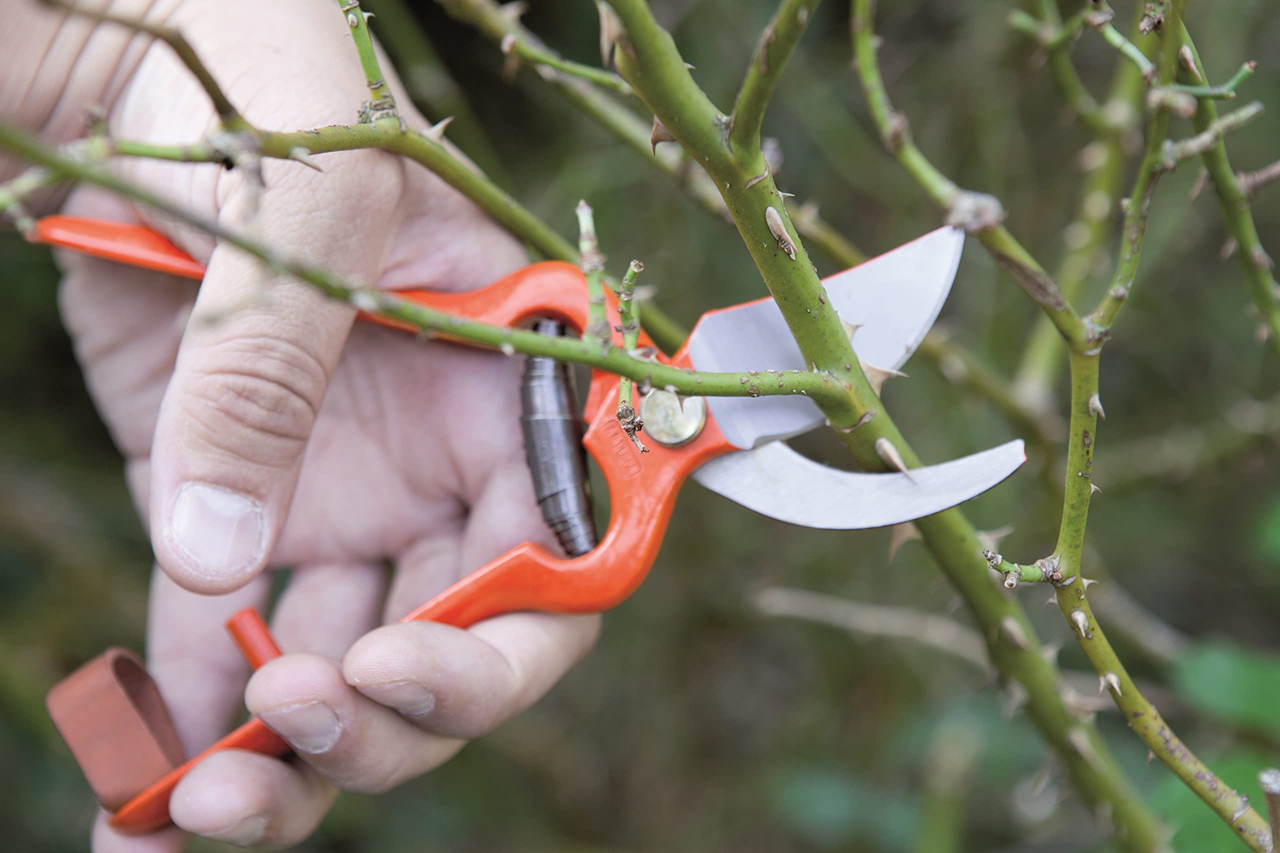 Altuna Tijera forjada Para USO intensivo Profesional Con mangos perfilados. 24cm.