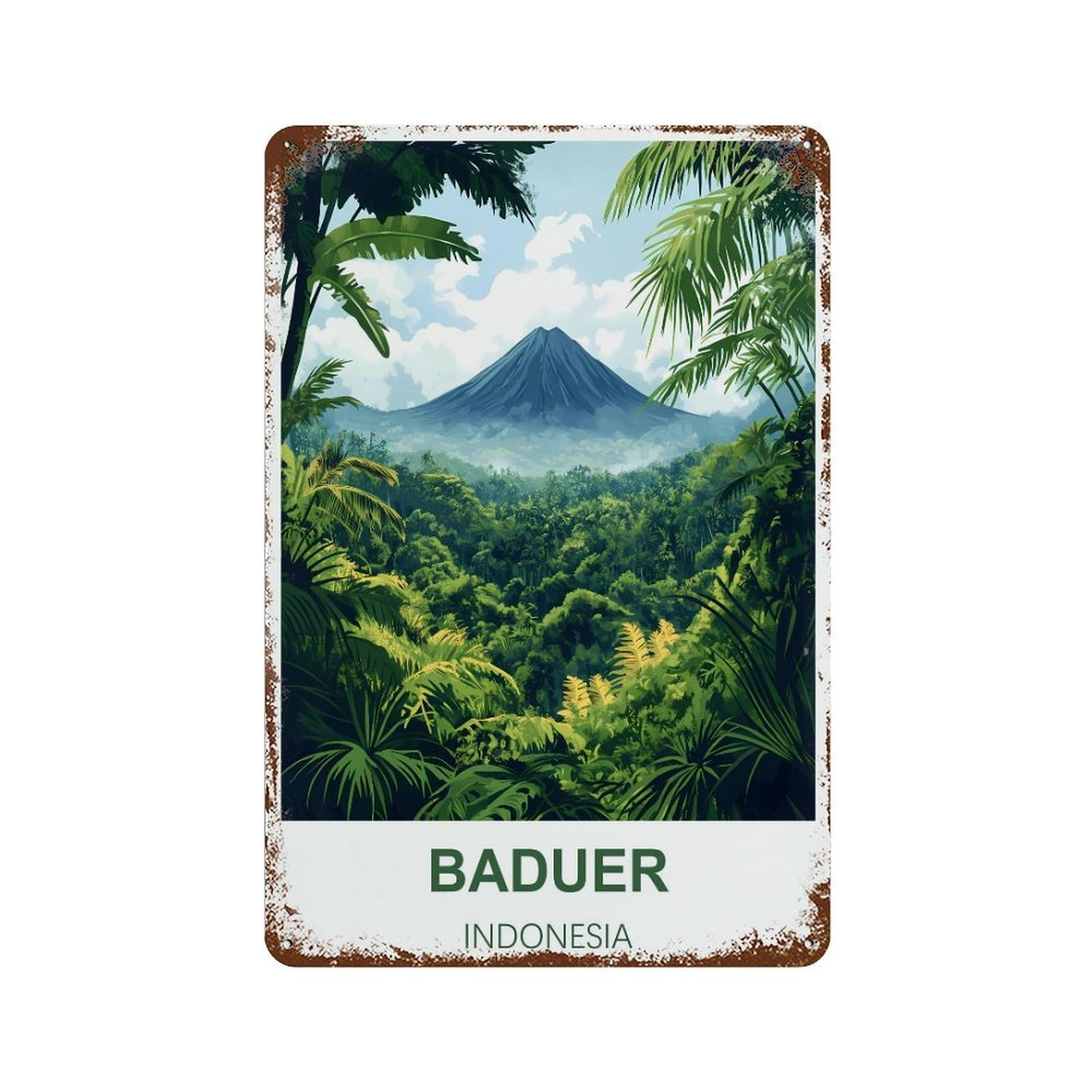Baduer Indonesia Retro Design Tin Painting Vintage Tin Sign 08x12inch(20x30cm) Wall Art for Home Office Bedroom Living Room Cafes Wall Decor