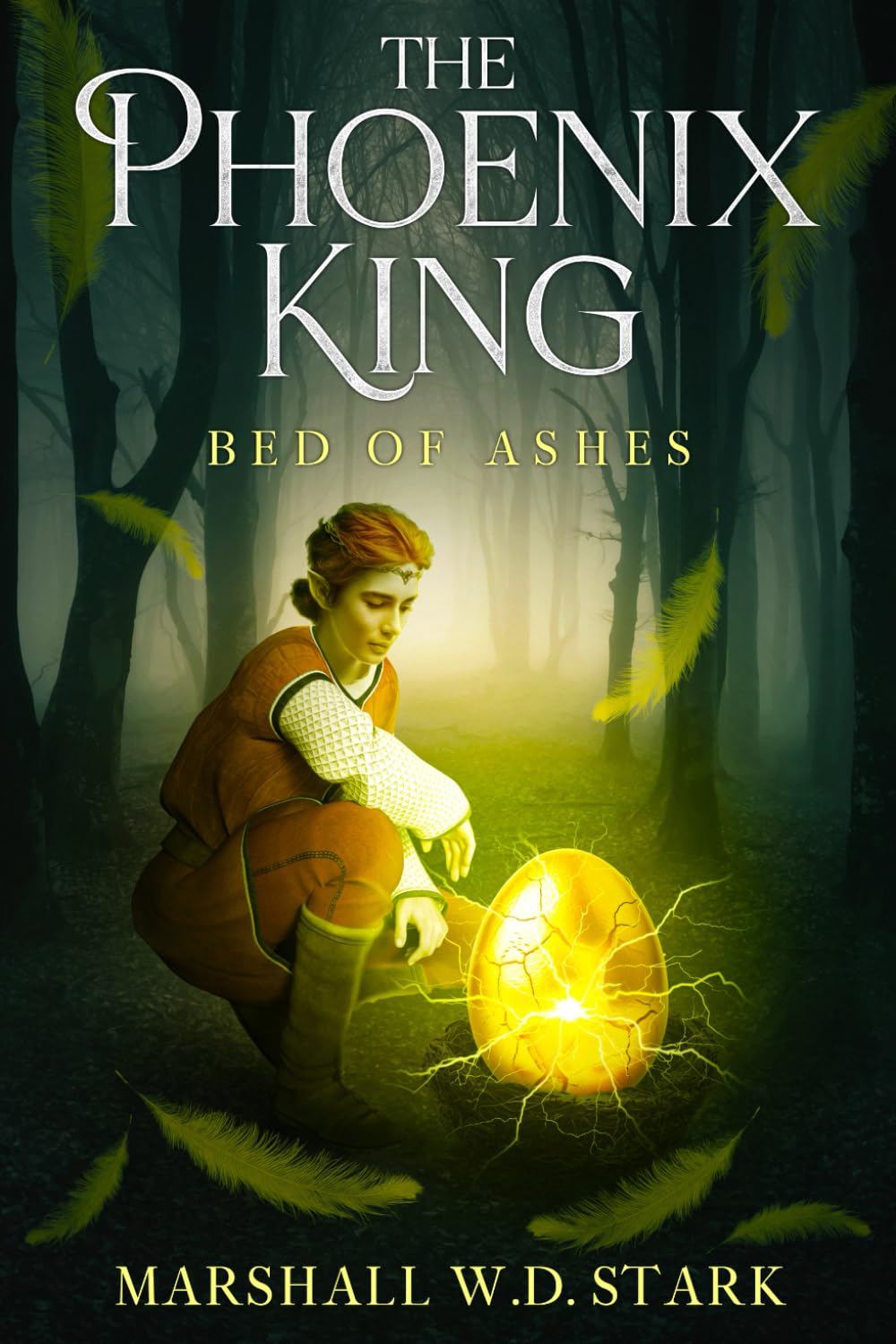 The Phoenix King #1 Bed of Ashes